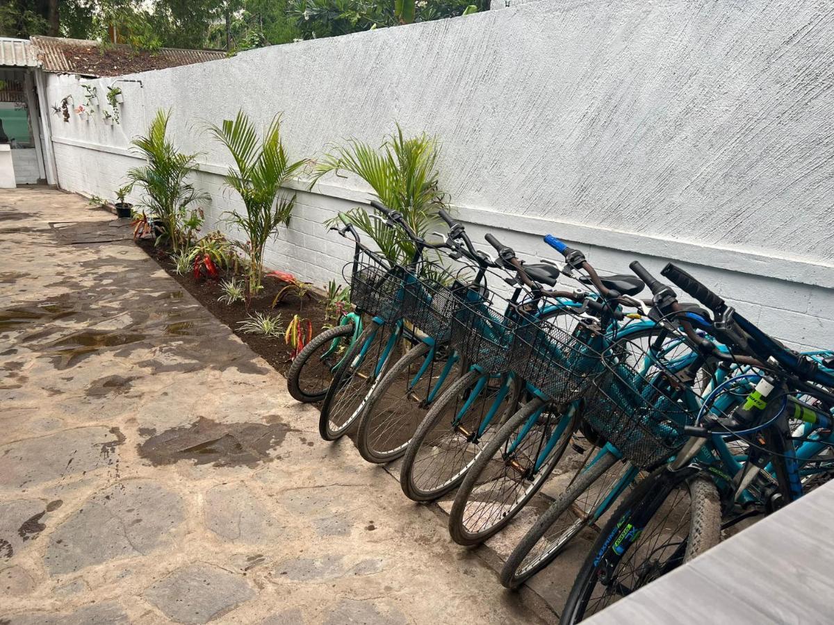 Gili Davidoff Bungalow Quần đảo Gili Ngoại thất bức ảnh